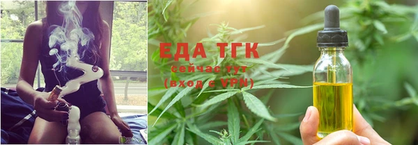 индика Аркадак