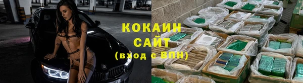СК Арсеньев