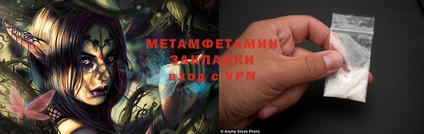 индика Аркадак