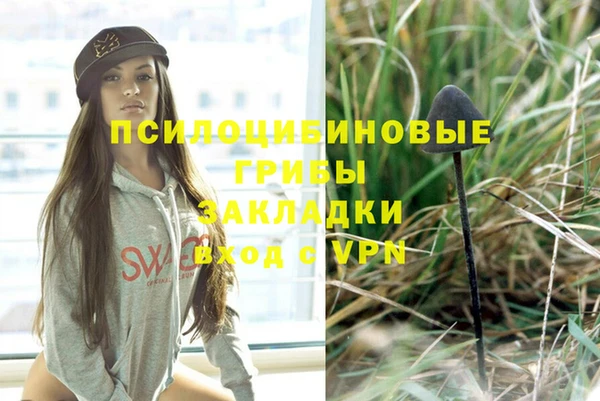 таблы Алексин